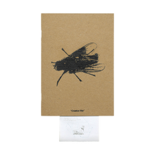 Load image into Gallery viewer, CW (2022/2025)