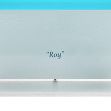 Load image into Gallery viewer, ROY (2024)