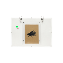 Load image into Gallery viewer, CW (2022/2025)
