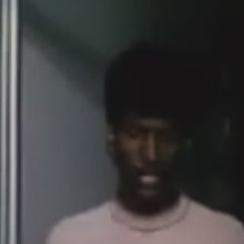 Load and play video in Gallery viewer, ROY ROY (2026)
